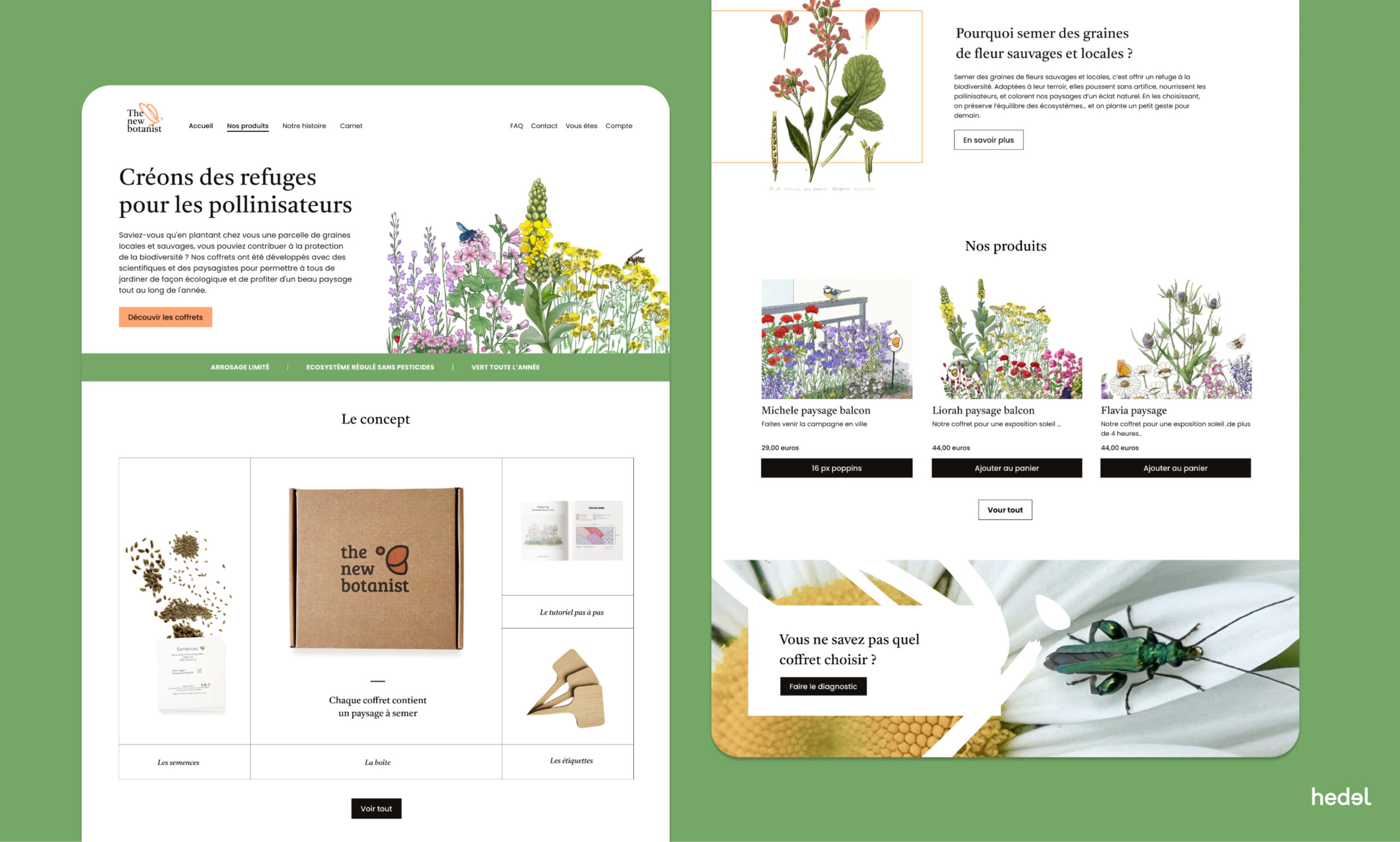 the new botanist