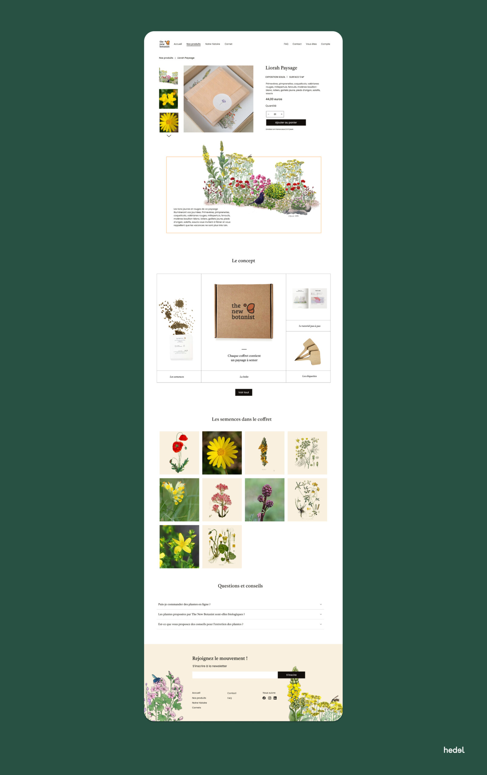 Illustrations botaniques pour identité de marque écoresponsable - logotype logo création freelance paris nature écologie