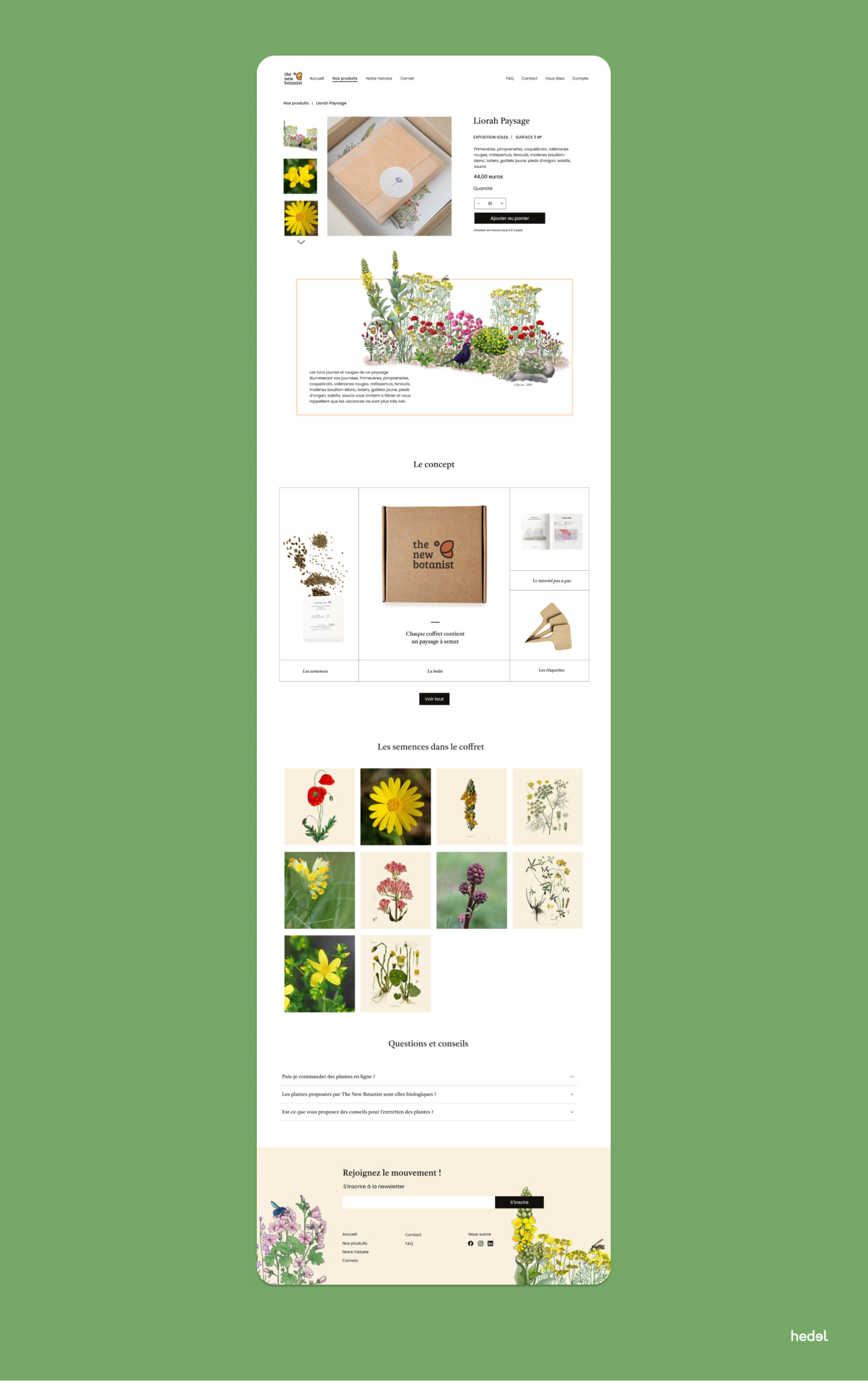 Typographie organique et couleurs végétales – The New Botanist