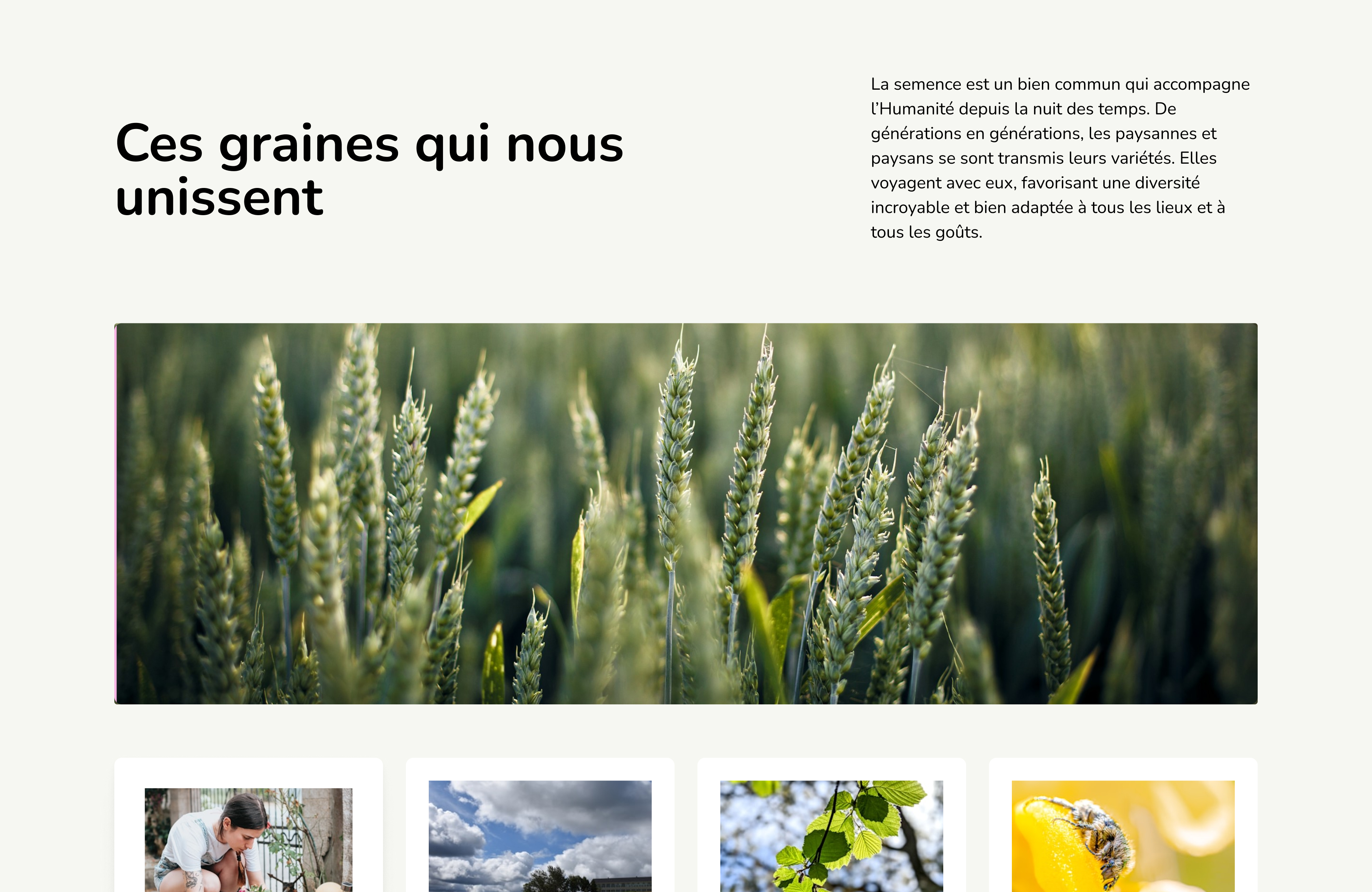 Comment un design bien pensé peut transformer l’expérience client dans le secteur du jardin et de la biodiversité