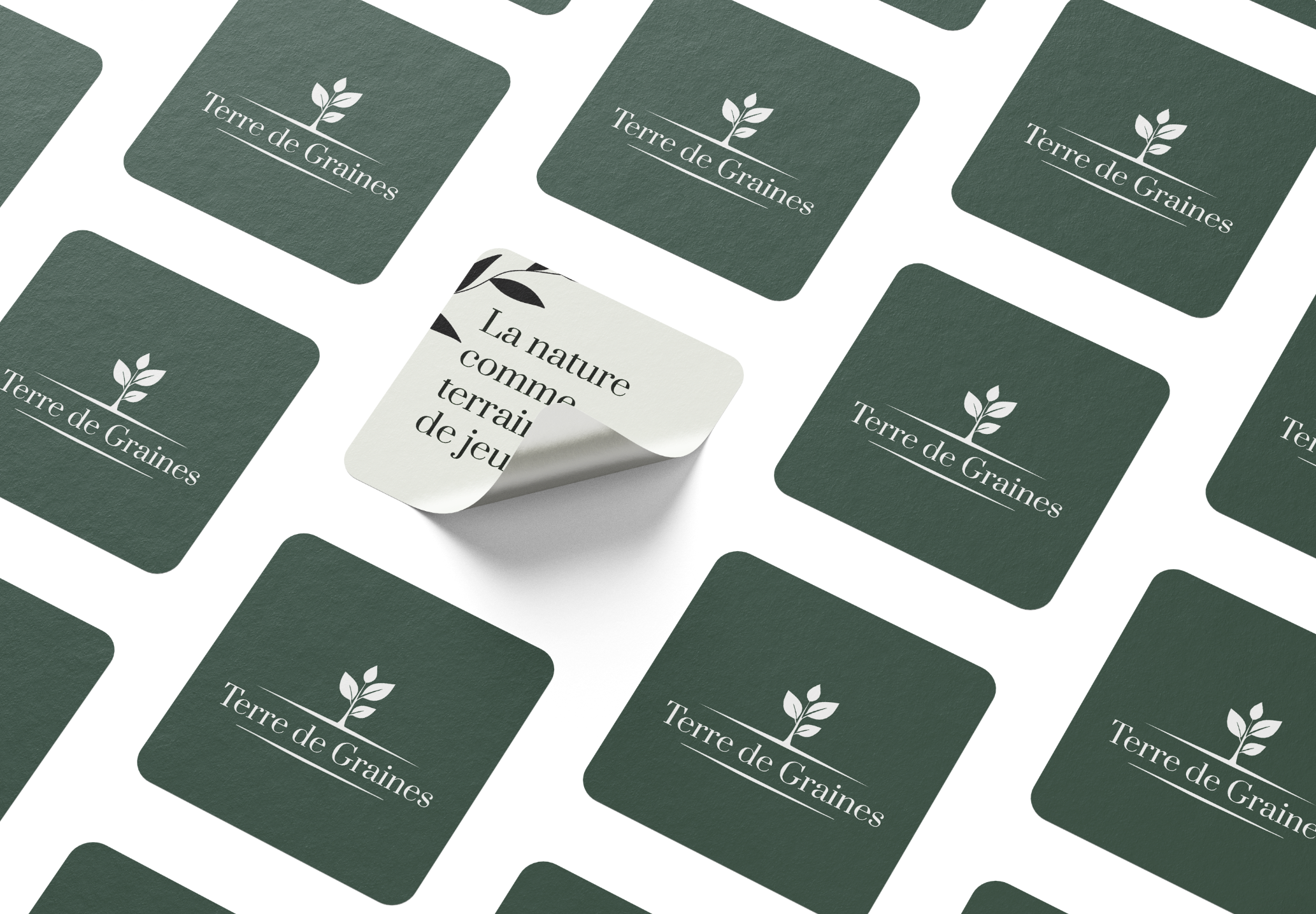 Charte graphique durable : quand l’identité visuelle devient un espace vivant, habitable, et qui traverse le temps