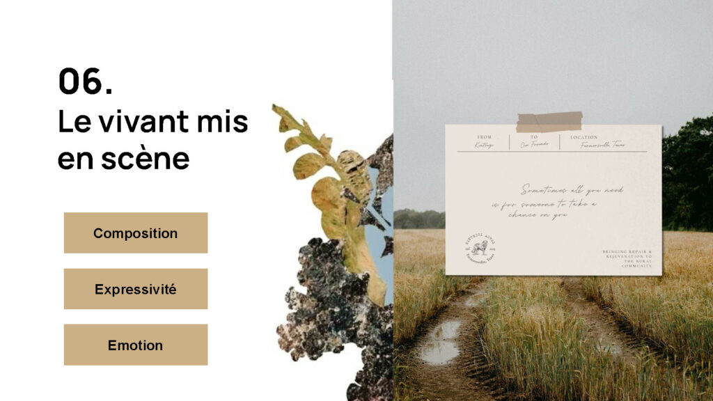 Mise en scène graphique et éditoriale du végétal dans le design nature