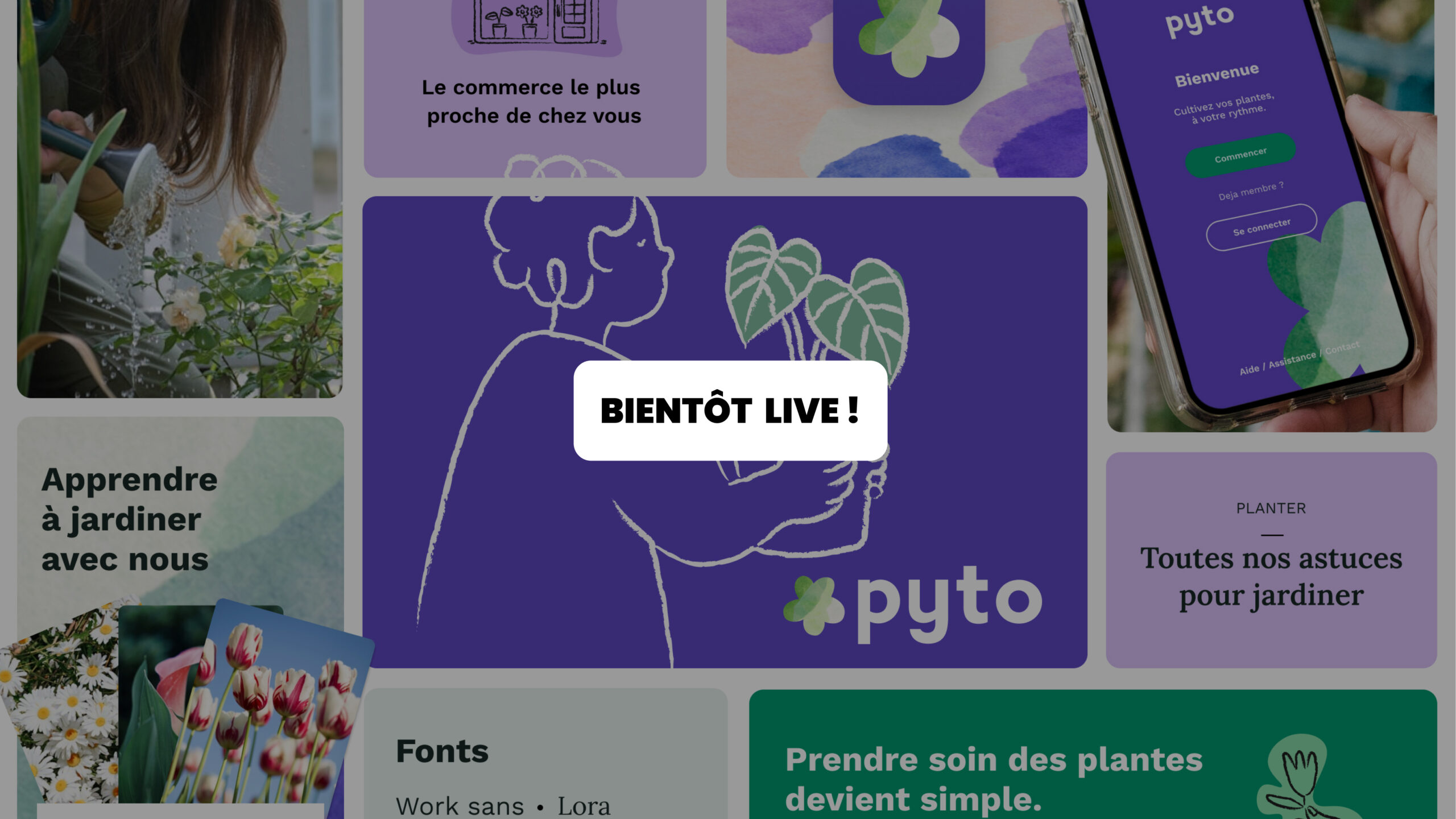 Pyto