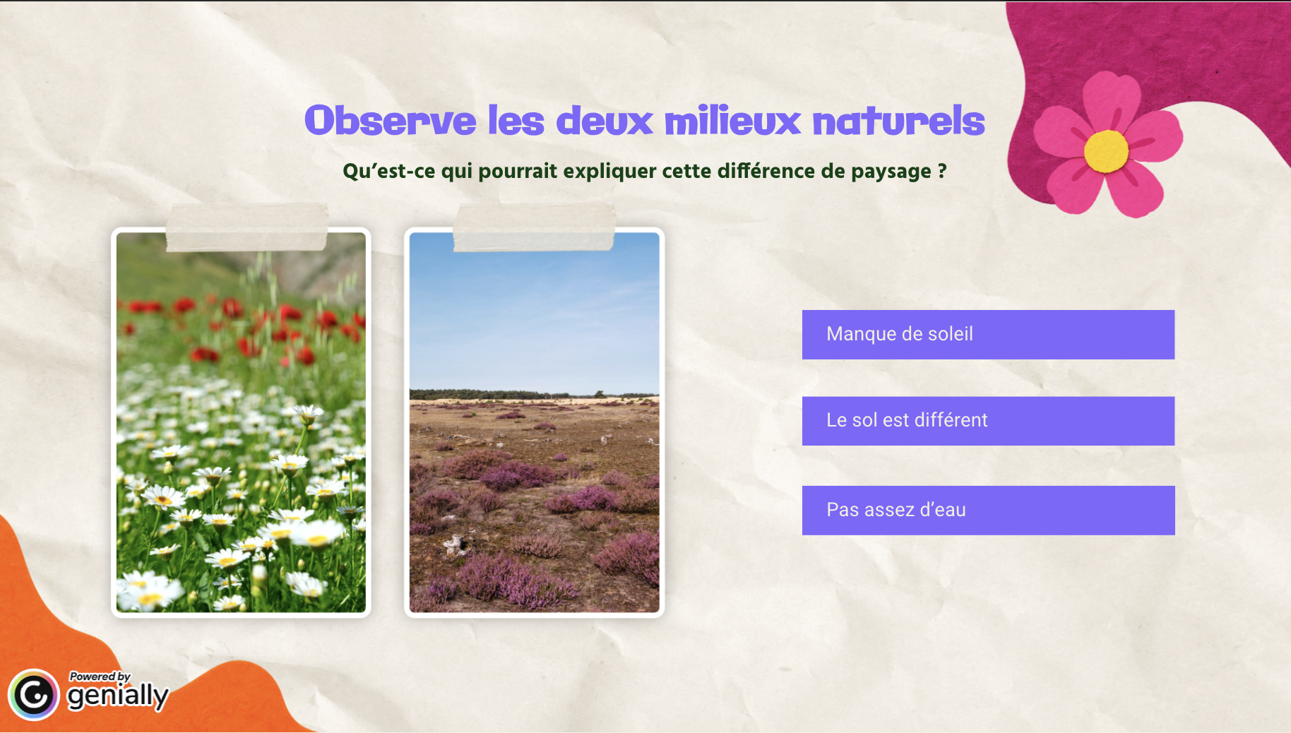 Comment créer des supports pédagogiques sur la nature et la biodiversité ?