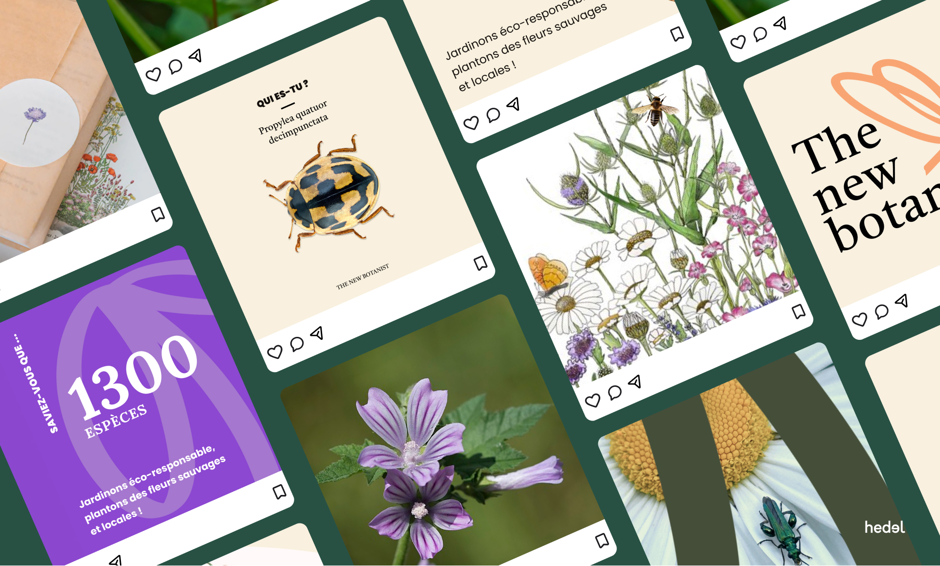 social media template canva création graphiste engagée paris freelance