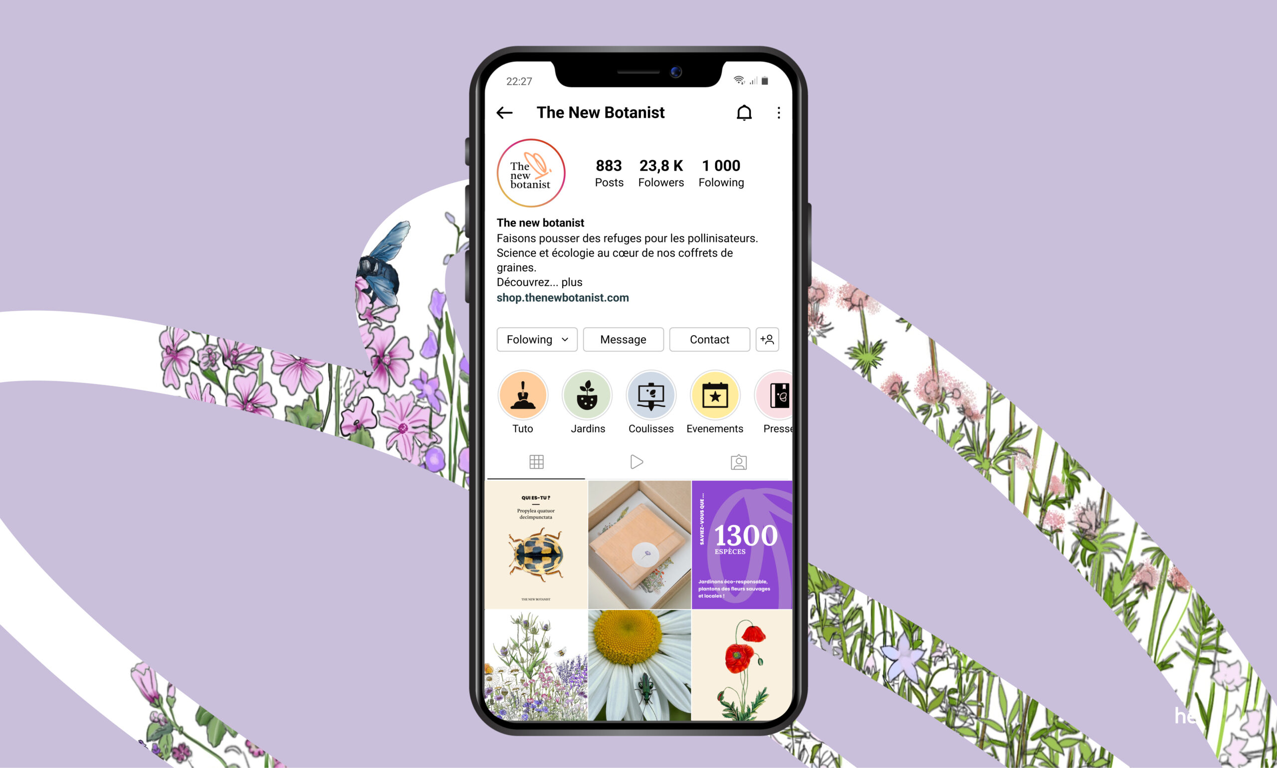 Identité visuelle pour marque de plantes bio – The New Botanist