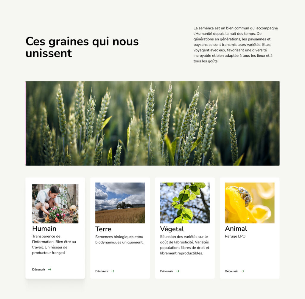 germinance, bio semance, eco conception, refonte ux-ui design, indentité, impact, simplicité