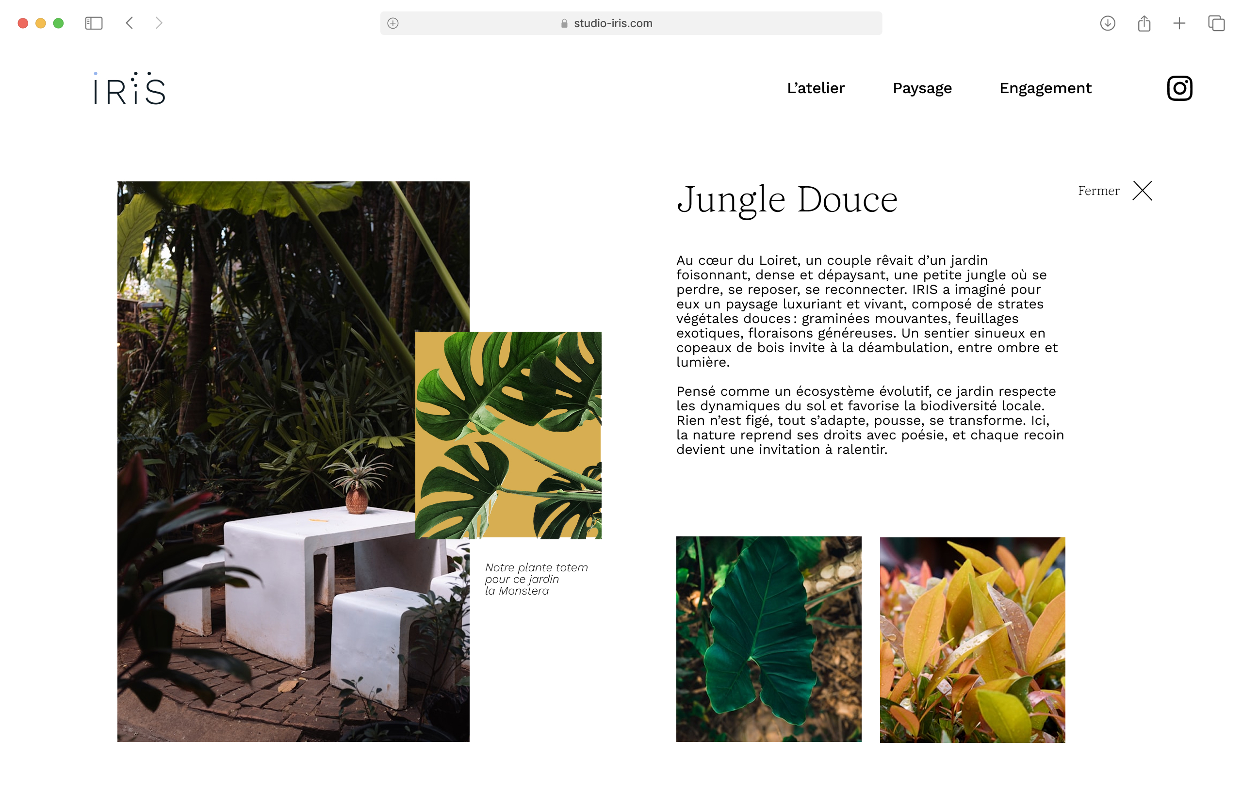 Logo végétal du studio IRIS, paysagistes engagés – design Hedel
Design mobile du site IRIS, studio paysagiste – site internet responsive pensé pour la nature