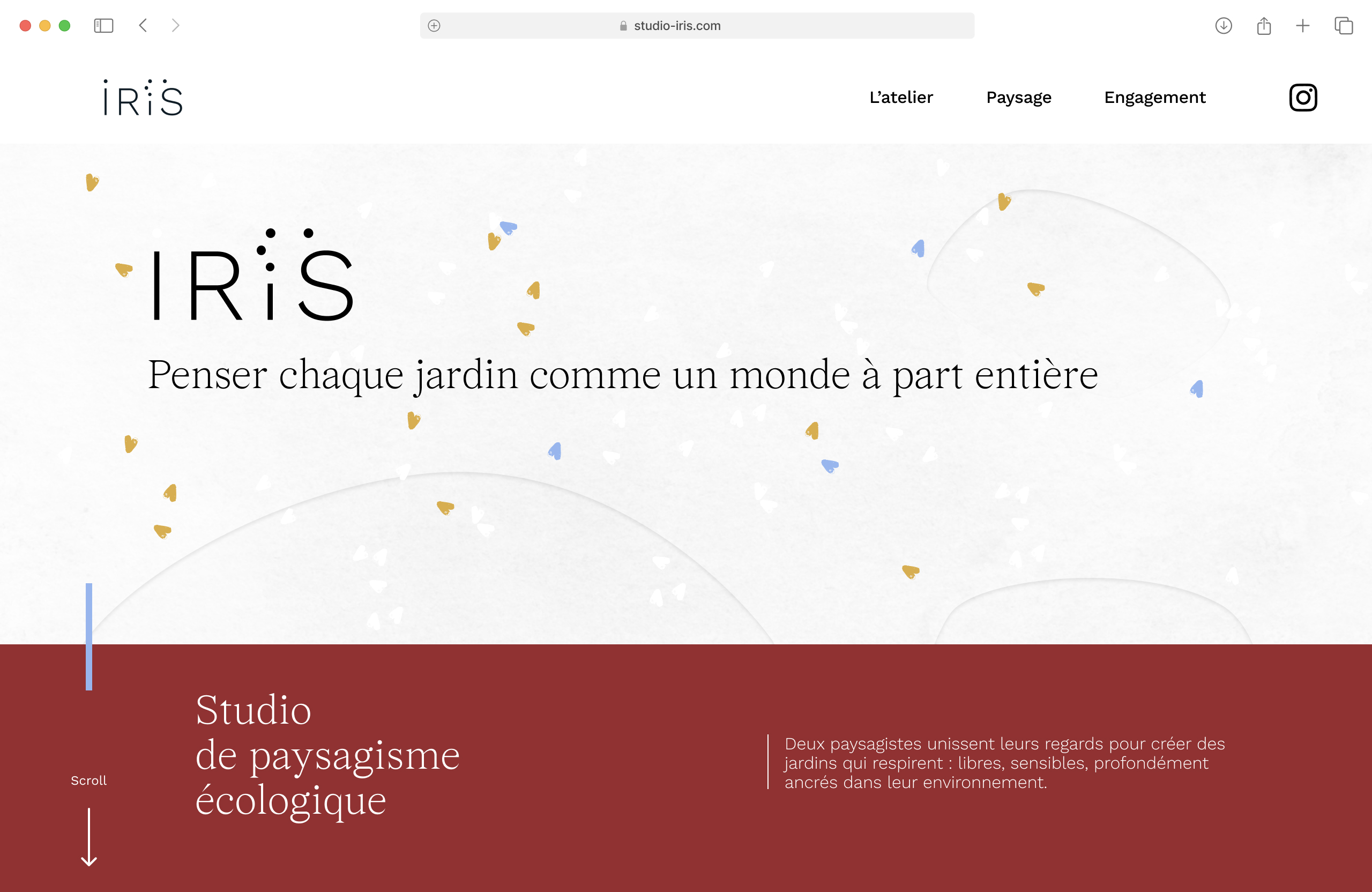 Identité visuelle et site internet pour le studio IRIS, paysagistes sensibles et engagés. Un design web végétal, durable et sur-mesure.
