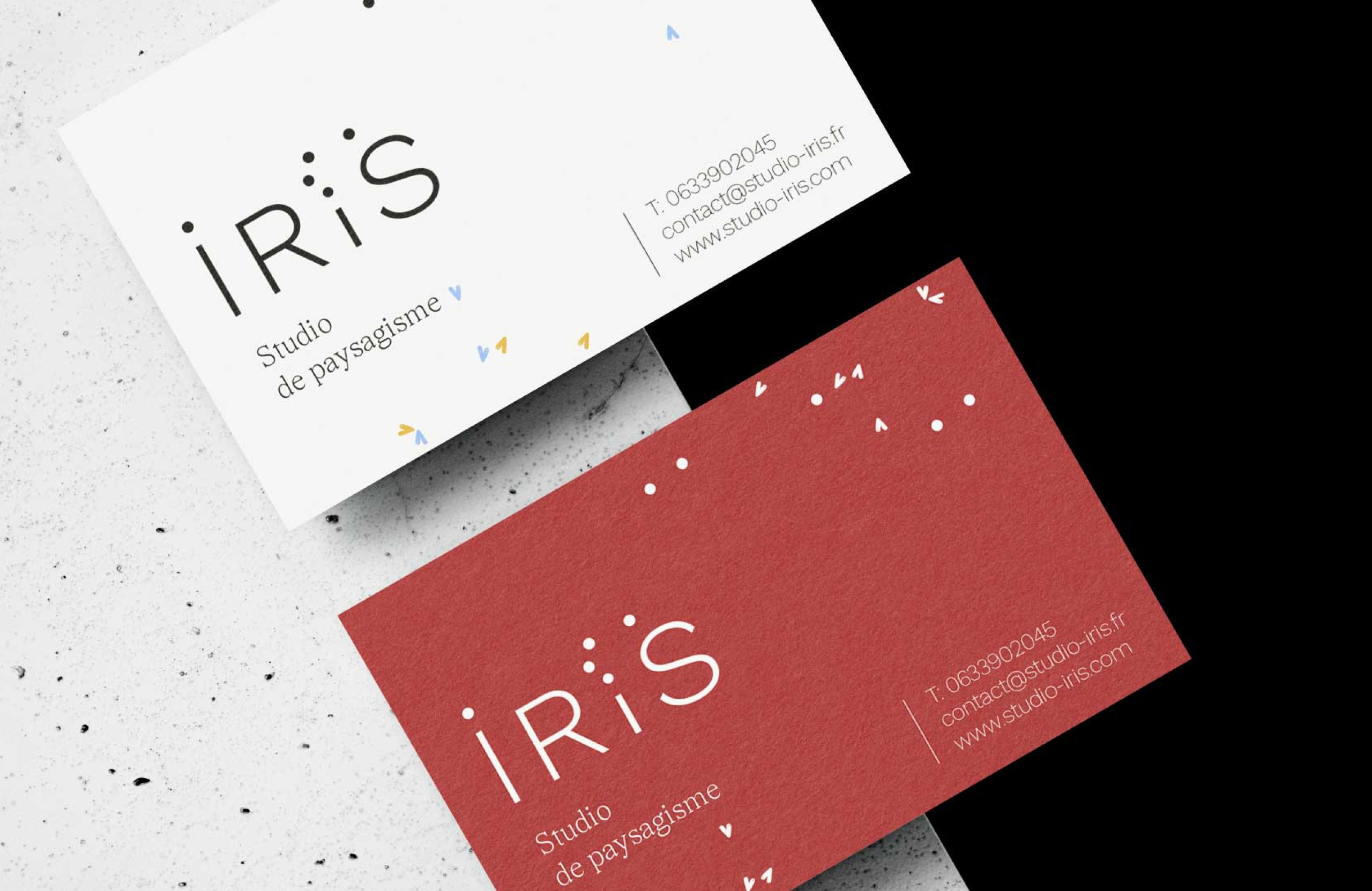 logothpye studio de paysagiste
identité graphique
