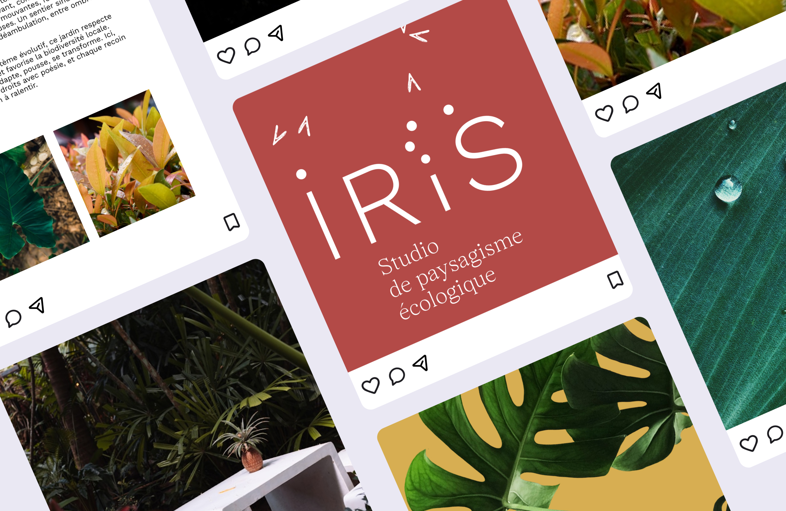 logo pour marque de plantes ou biodiversité