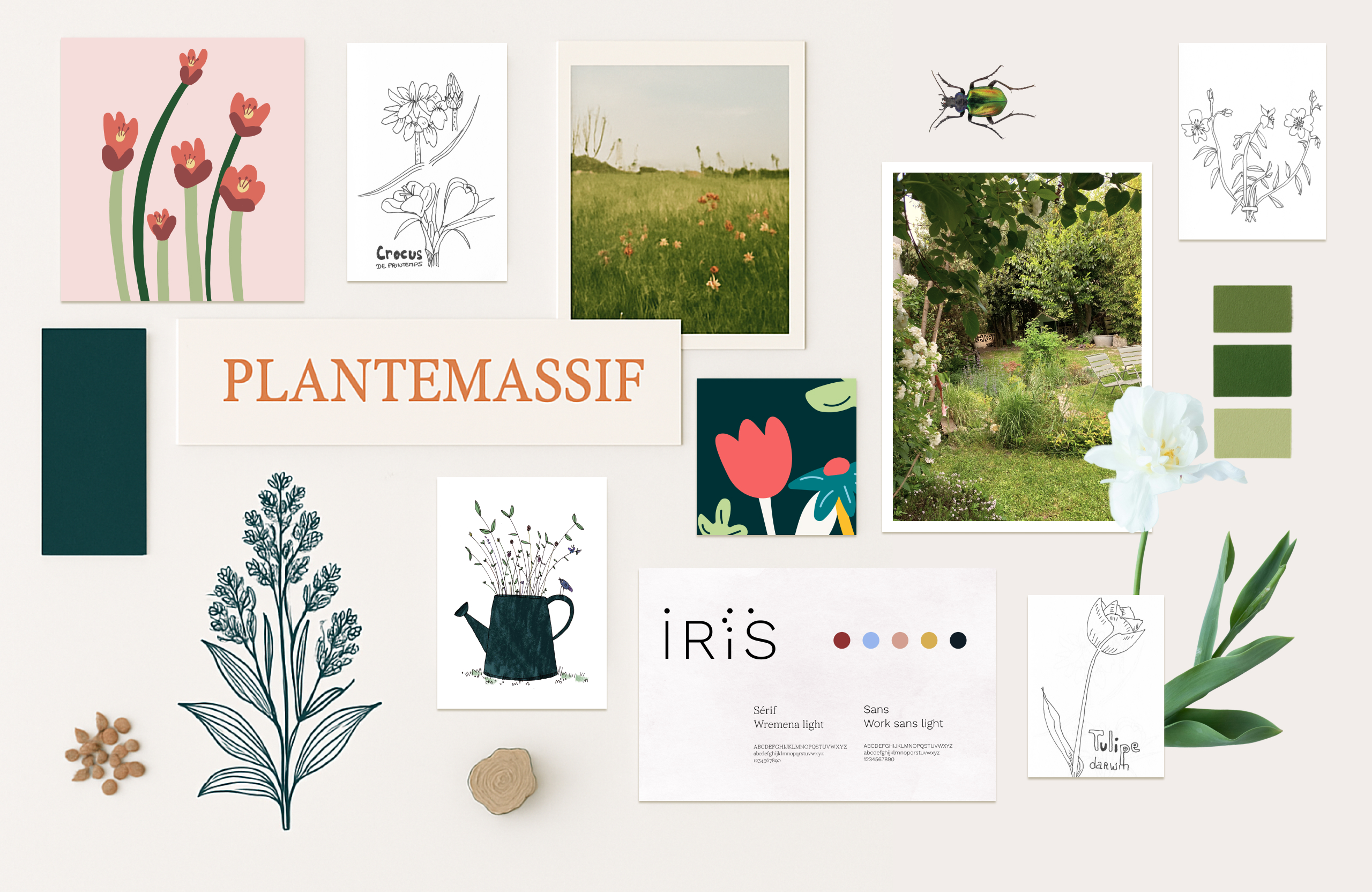 Moodboard graphique inspiré du vivant avec illustrations botaniques, photo de campagne et palette de couleurs nature (vert profond, corail, blanc cassé).