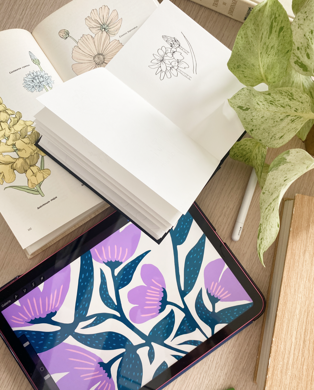 Template web nature – design d’interface pour marque engagée
Webdesign écoresponsable – graphiste nature Hedel
Interface digitale avec illustrations botaniques – UX/UI nature
Landing page nature avec identité visuelle botanique