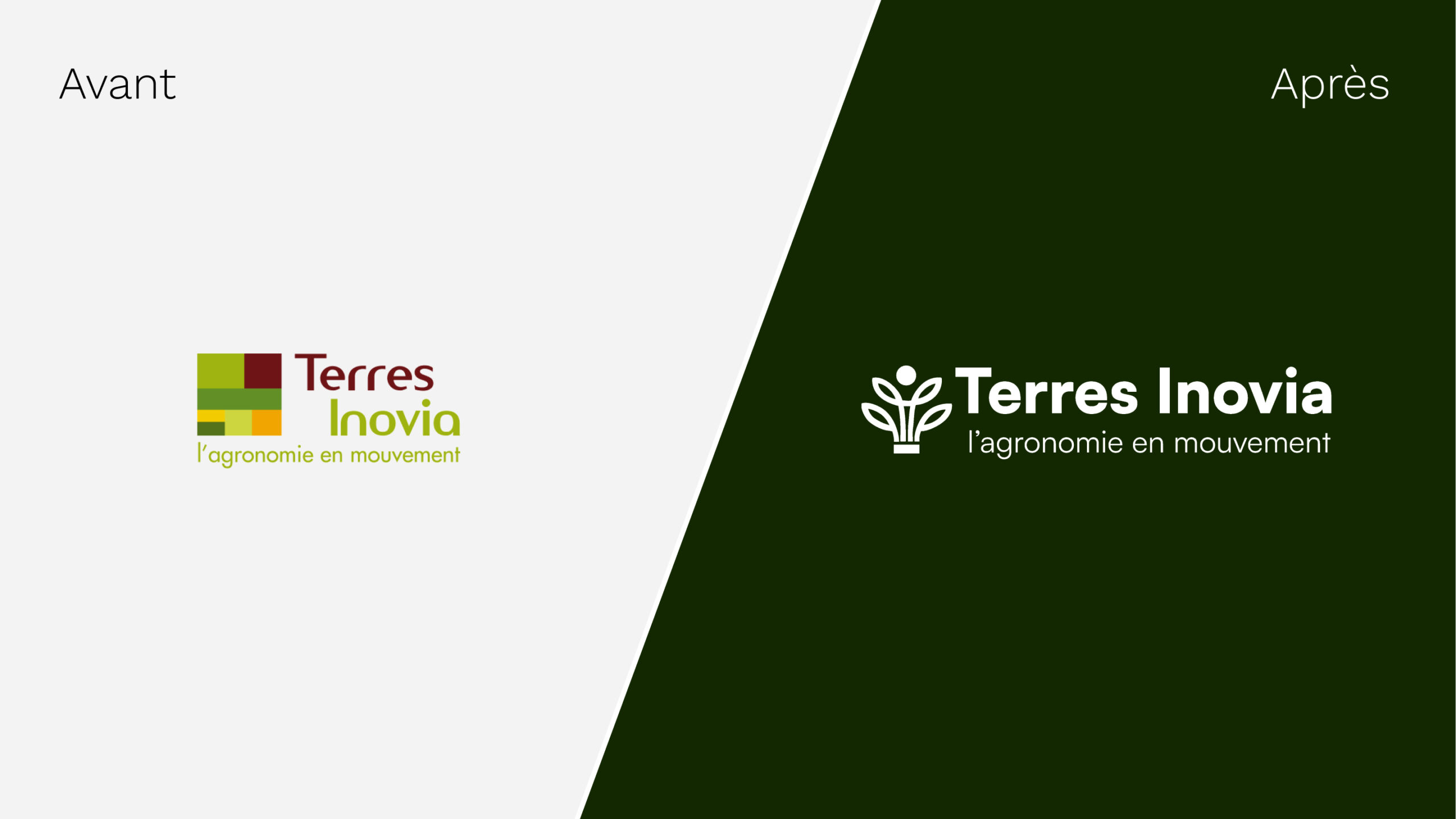 logotype écologie semence agricole graphiste