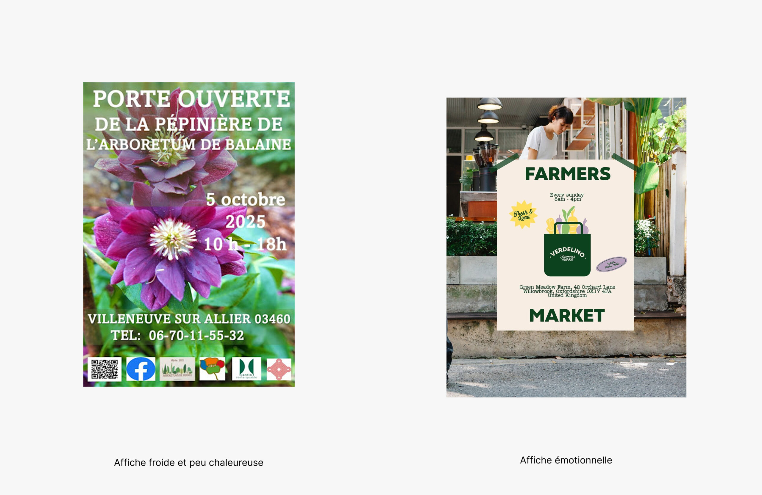 Visuel froid de jardinerie comparé à une identité visuelle chaleureuse et authentique inspirée de la nature