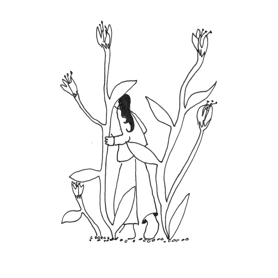 illustration naturaliste moderne – création Hedel Studio