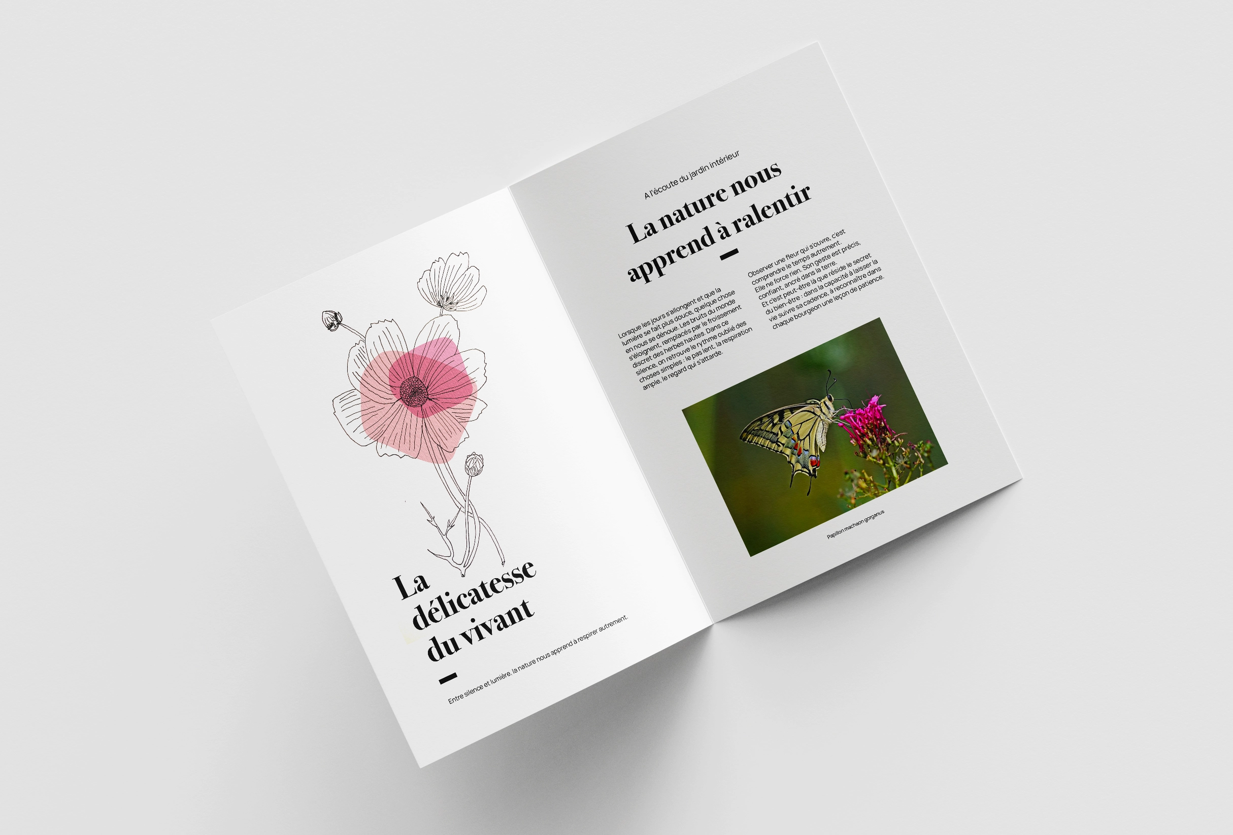 illustration naturaliste moderne – création Hedel Studio