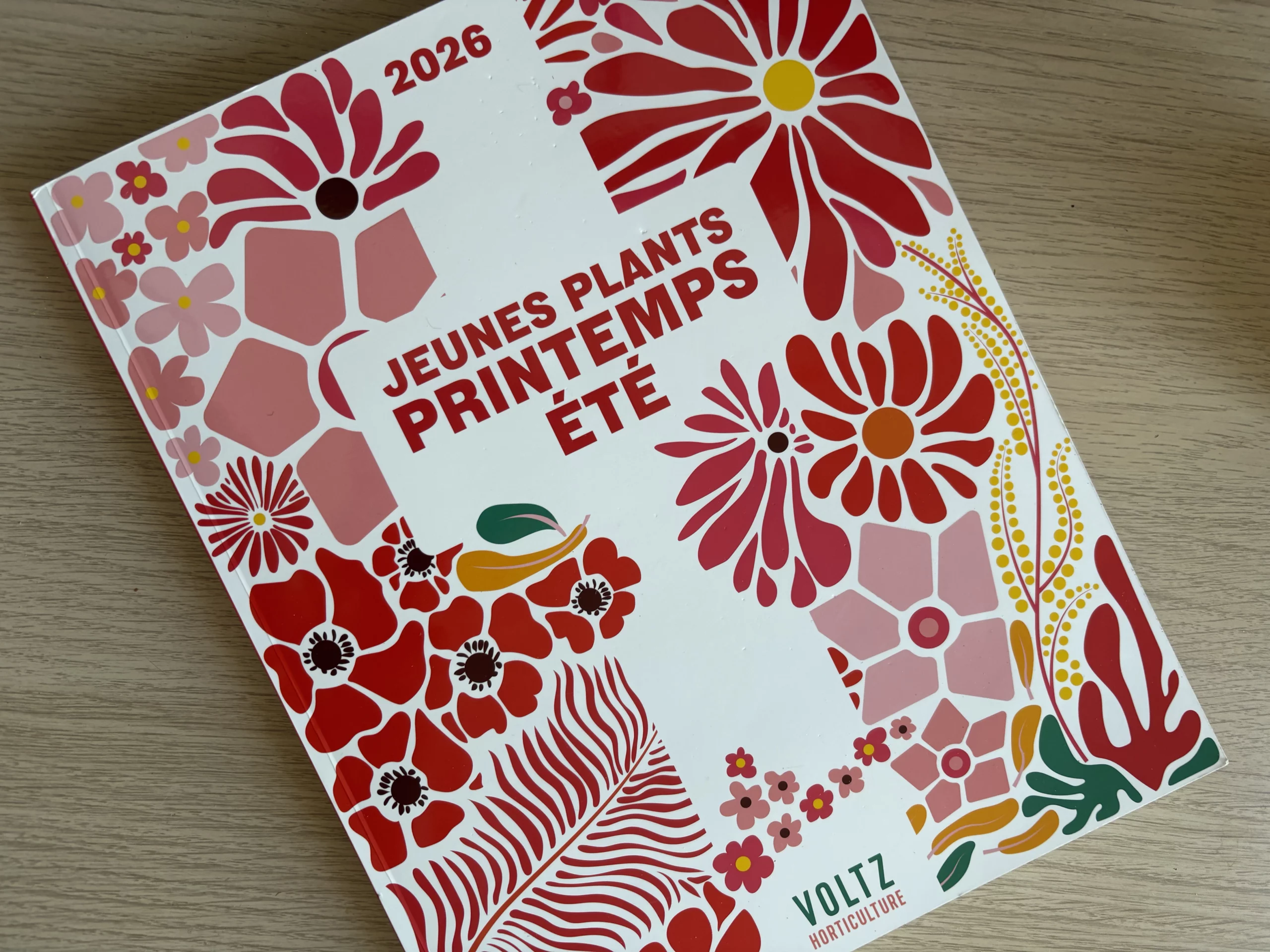 illustration végétale voltz horticulture sival