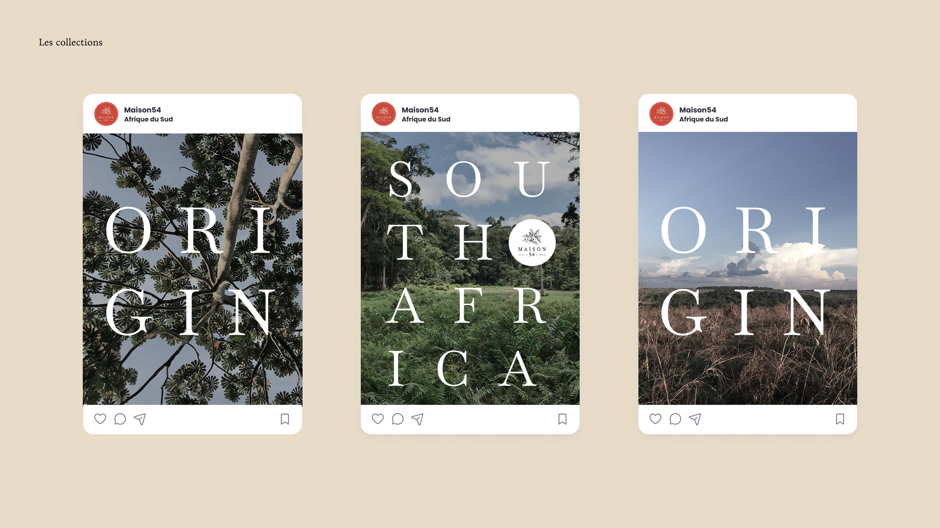 social media template canva