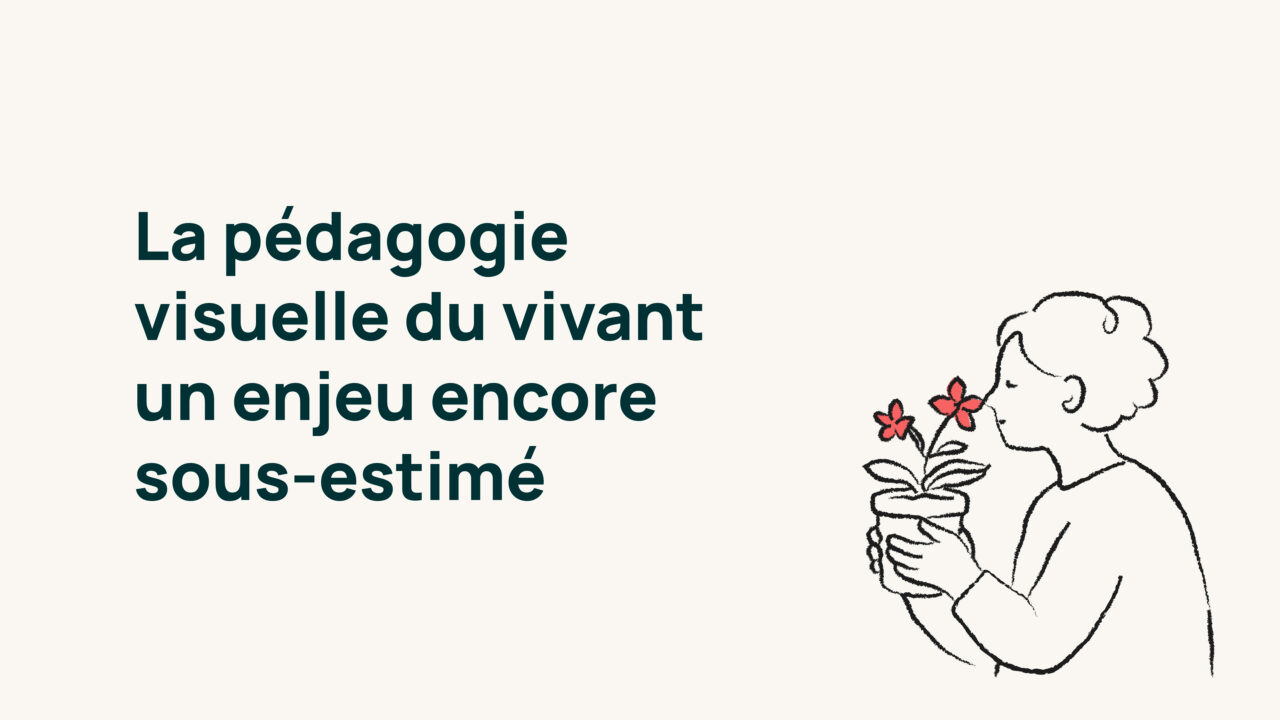 image pédagogie viseulle biodiversité plante