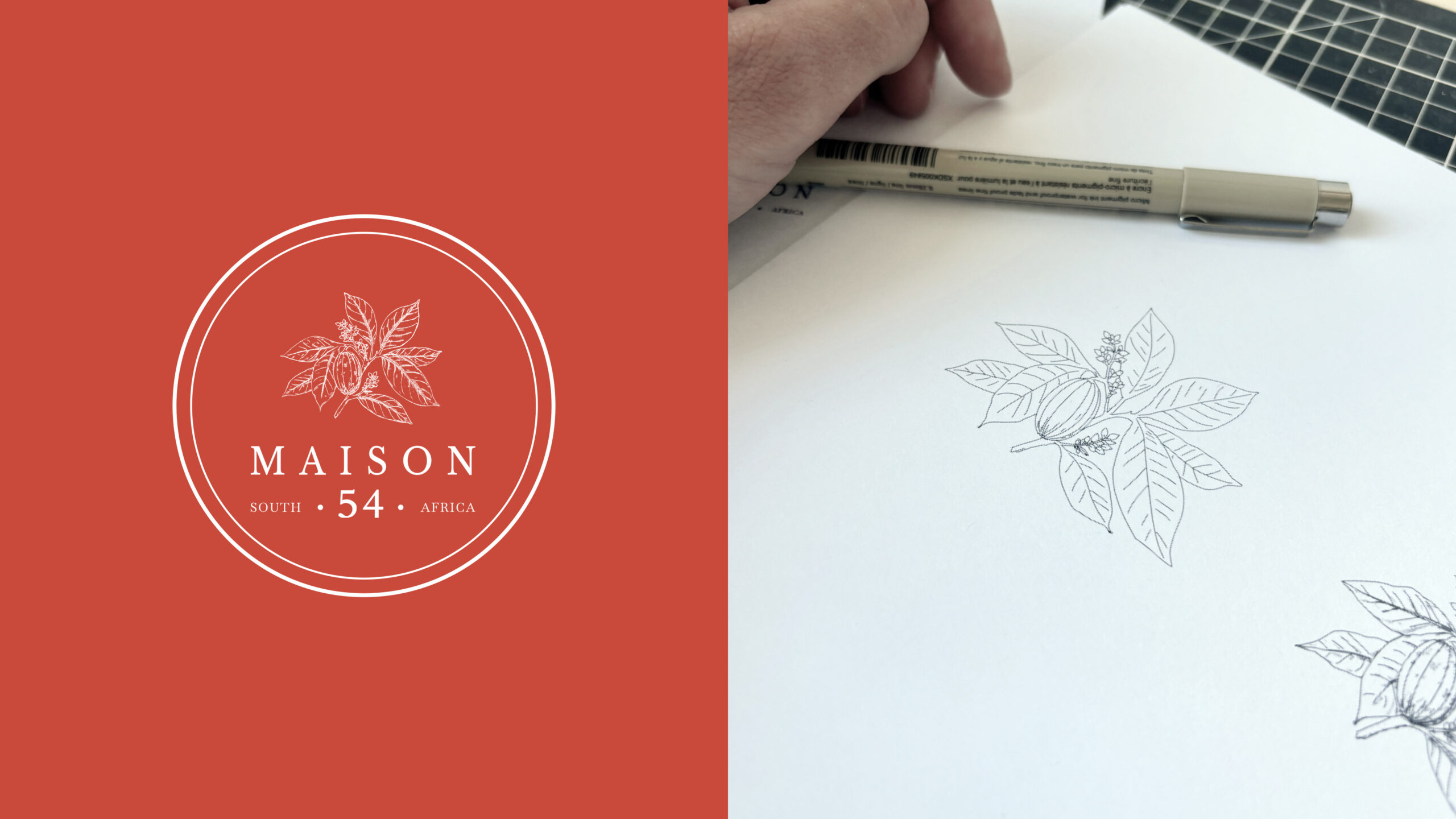 logotype vectorielle dessin logotype dessiné