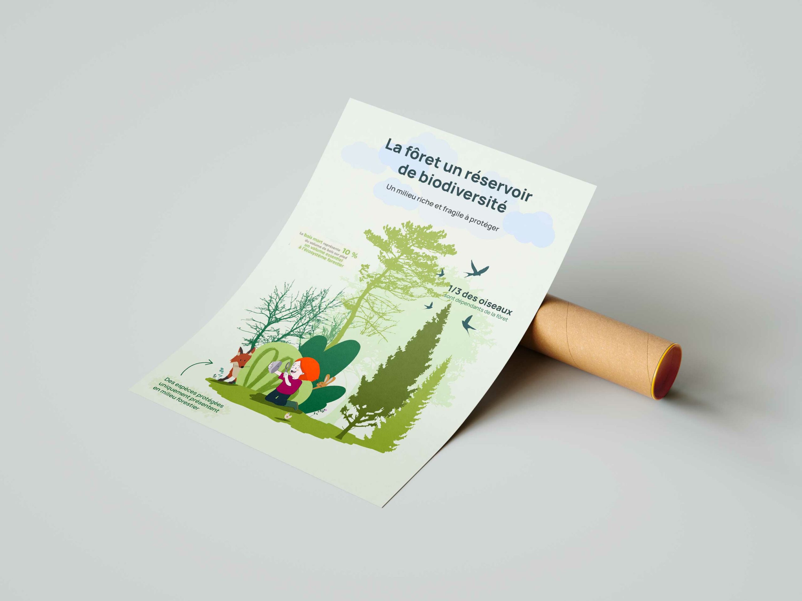 poster enfant pédagogie illustration nature biodiversité fôret dessin botanique ludique